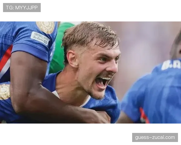 霍尔五球成埃弗顿队内射手王 切尔西旧将前场创造力获认可